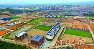 足球点燃球场气氛,足球点燃激情绿茵绽放梦想