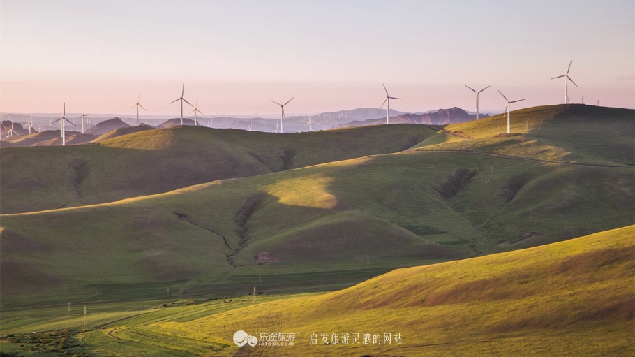 这个夏天来塞罕坝看看吧,坝上草原森林