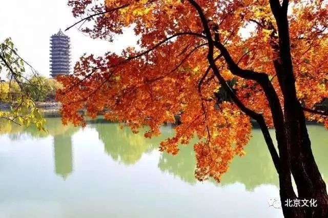 我叫北京，这是我最新的简历，请多关照