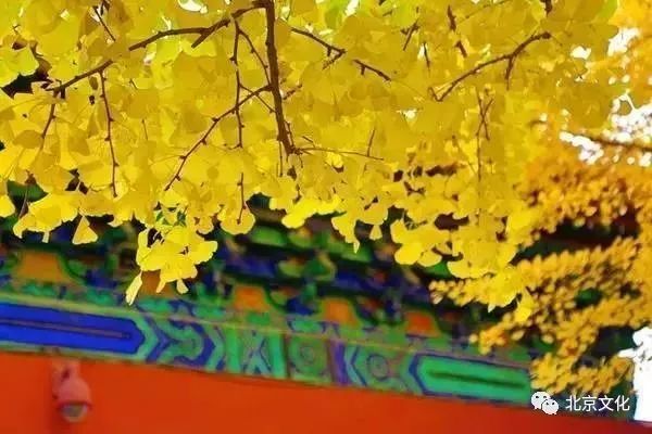 我叫北京，这是我最新的简历，请多关照