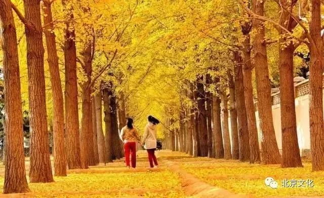 我叫北京，这是我最新的简历，请多关照