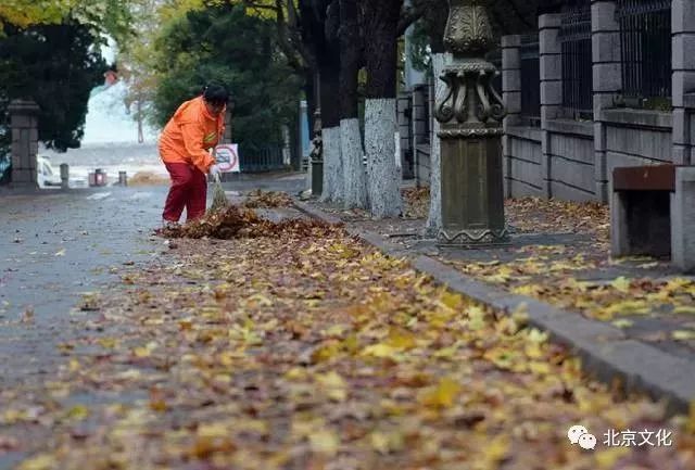 我叫北京，这是我最新的简历，请多关照