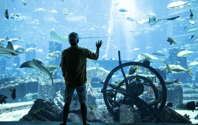 迪拜旅游自由行七日游,迪拜旅游11日自由行攻略最新