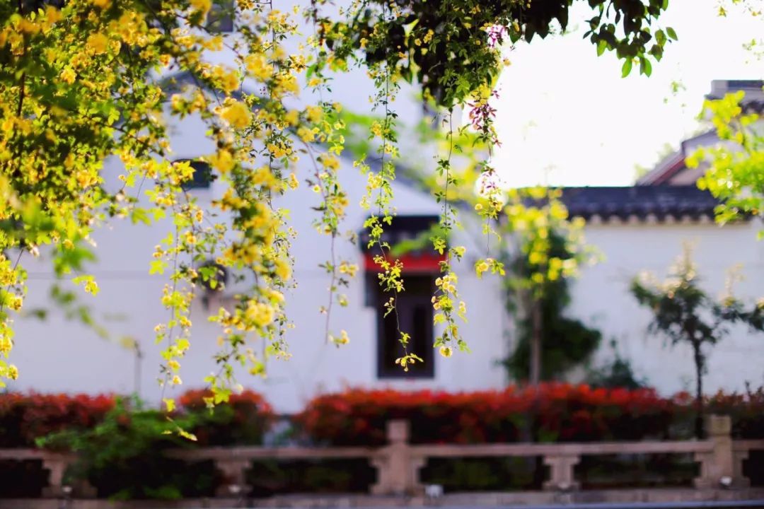 爱情表白最感动的句子古诗,古人描写爱情的古诗词100句