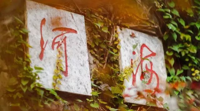 @2019级水之子，多图带你们提前逛河海～