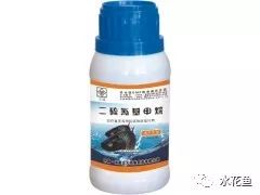 鲢鳙鱼出血病,花白鲢败血症