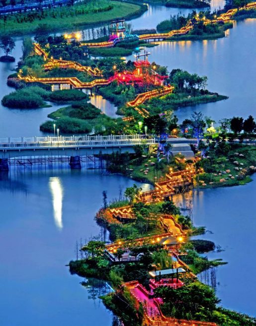 权威发布|这样的花都，太上头了！