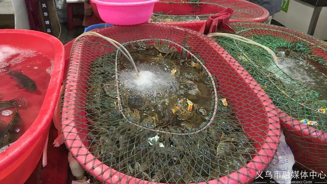 秋风起蟹脚肥原版,秋风起蟹脚肥怎么回事