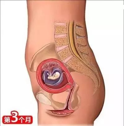 怀孕必备的100个知识,育儿知识怀孕40周注意事项