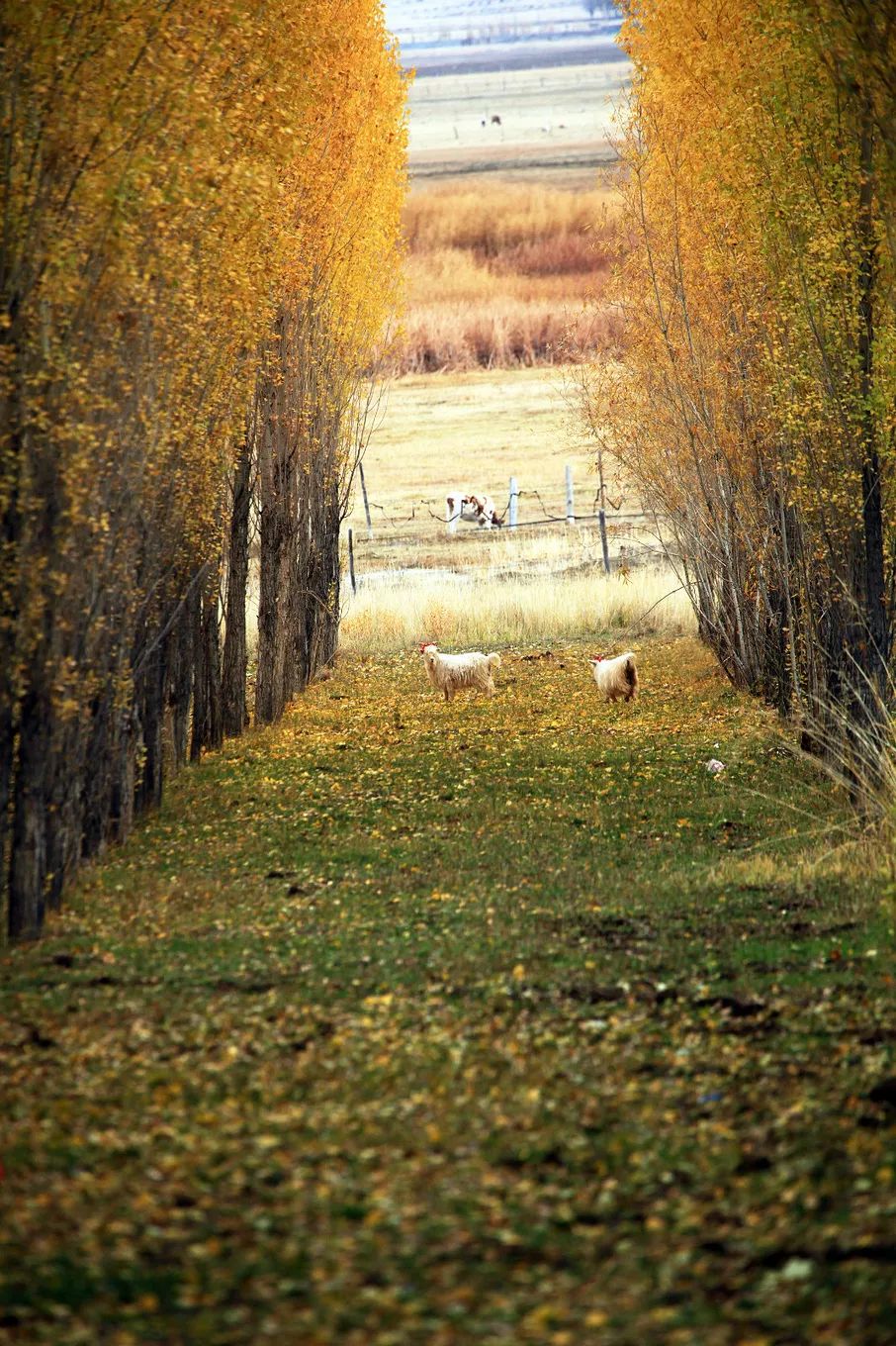选好出行路线,选日期出行