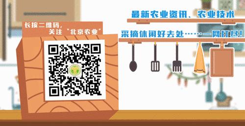 刚入鱼缸的鱼有什么表现,初入鱼缸的观赏鱼蒙眼时怎么办