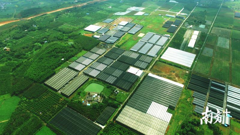 韶关翁源兰花产业,韶关翁源兰花交易市场