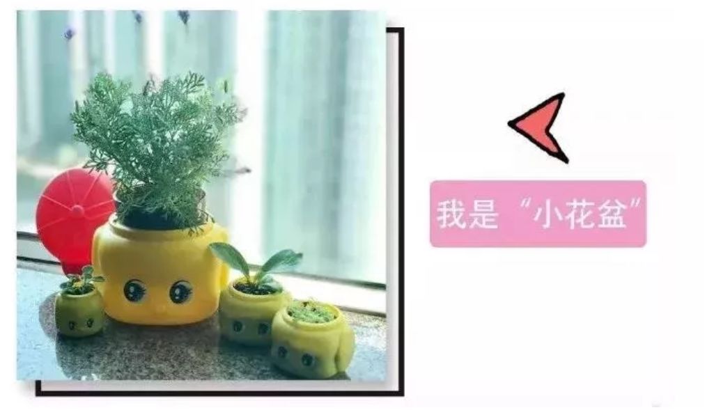 俏皮娃娃面霜,好物推荐最新爆款儿童面霜