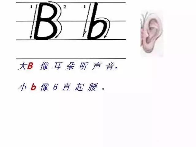 衡水体考题答题卡,衡水体答题卡效果图