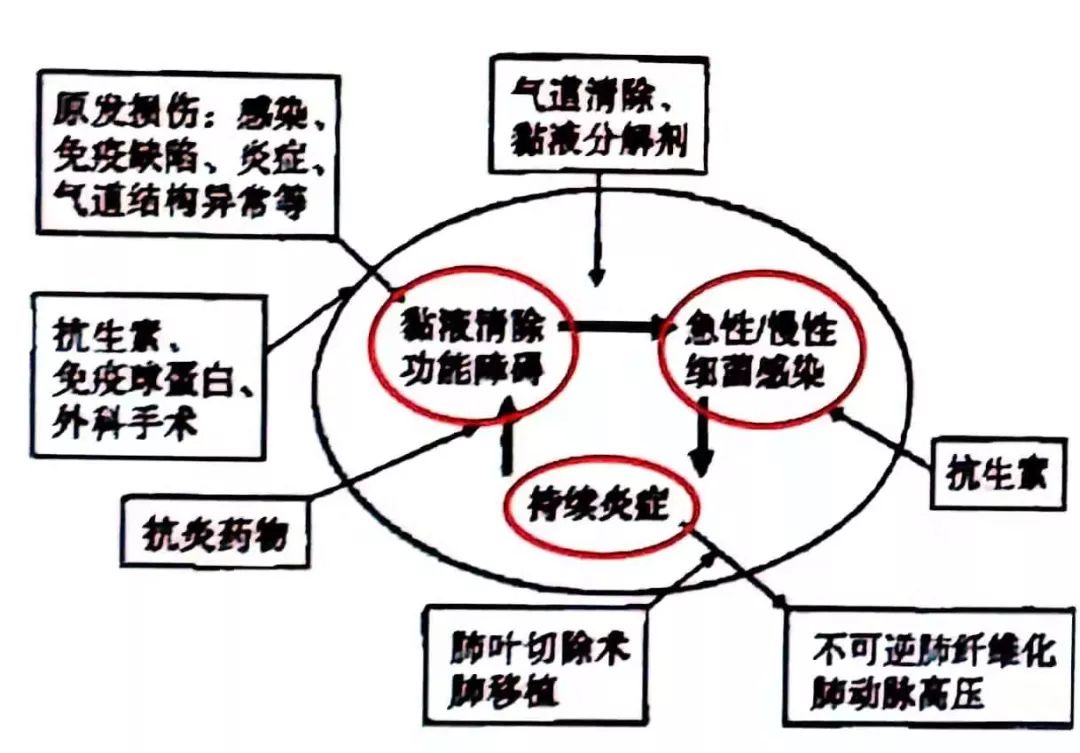风寒感冒后咳嗽一直不好什么原因,孩子咳嗽老不好是肺热吗