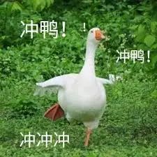 怎样摆脱讨好型人格做真正的自己,怎么拯救讨好型人格