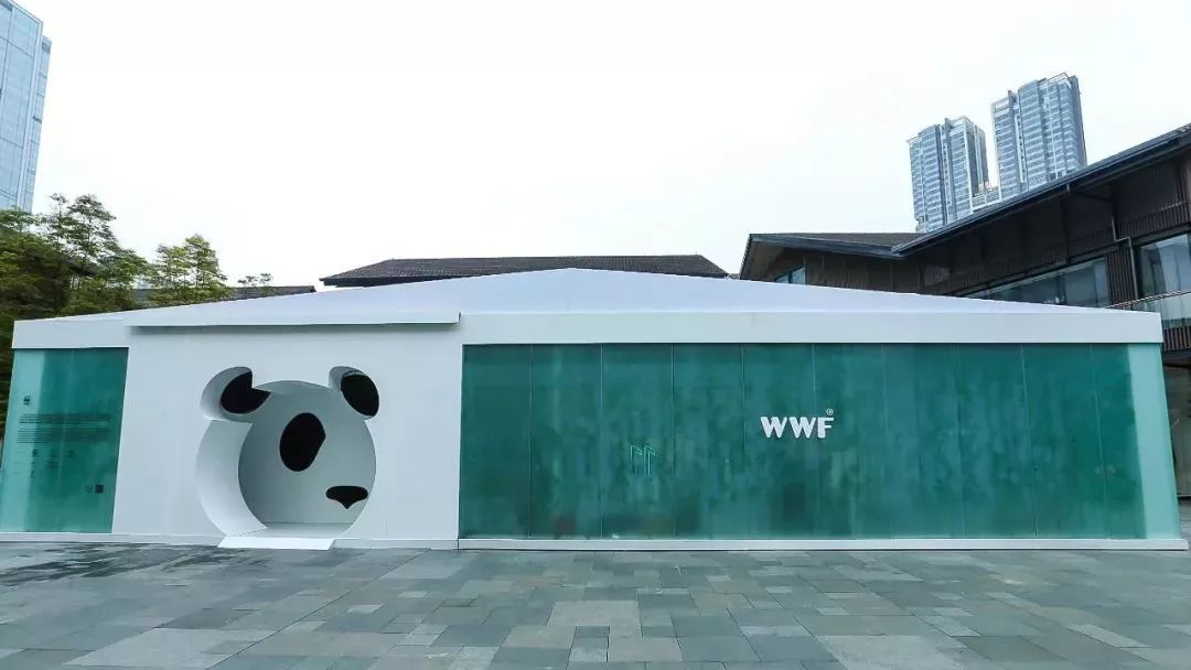 时尚圈已经开始动物保护了！我也不能掉队鸭