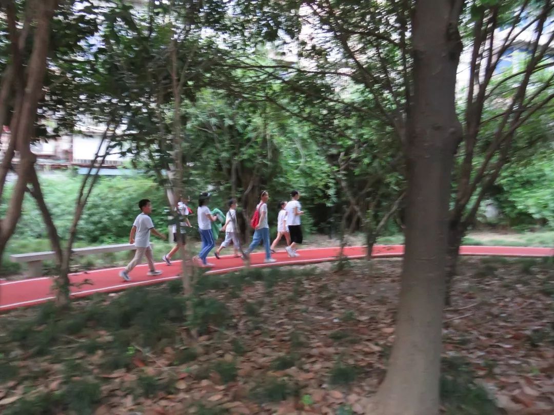 最美步道评选,黄浦最美健身步道