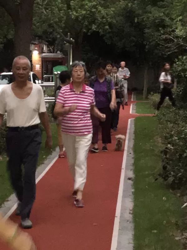 最美步道评选,黄浦最美健身步道