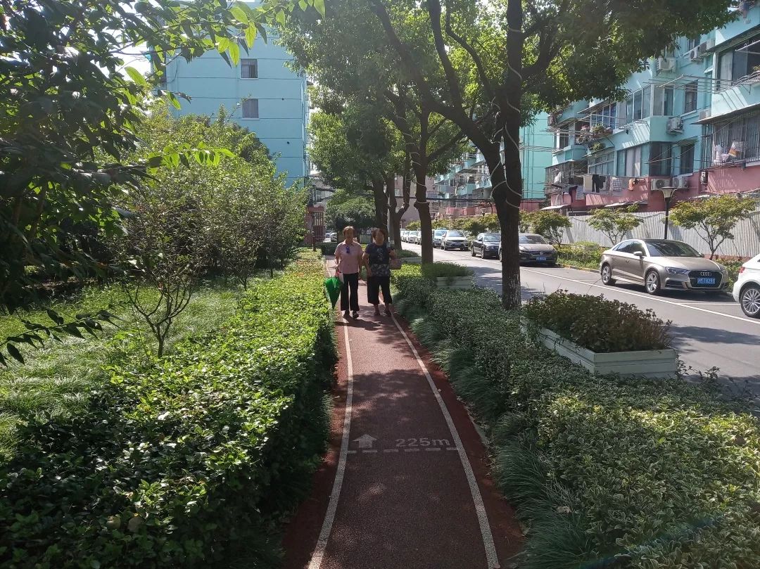 最美步道评选,黄浦最美健身步道