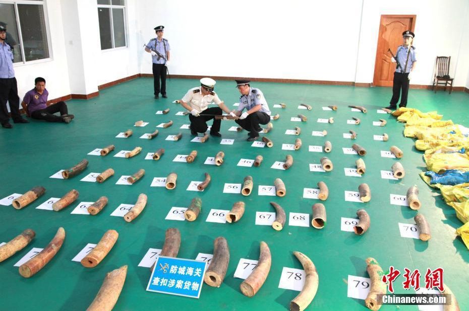 春运火车票1月12日可以买票吗,提醒今起开售春运首日火车票
