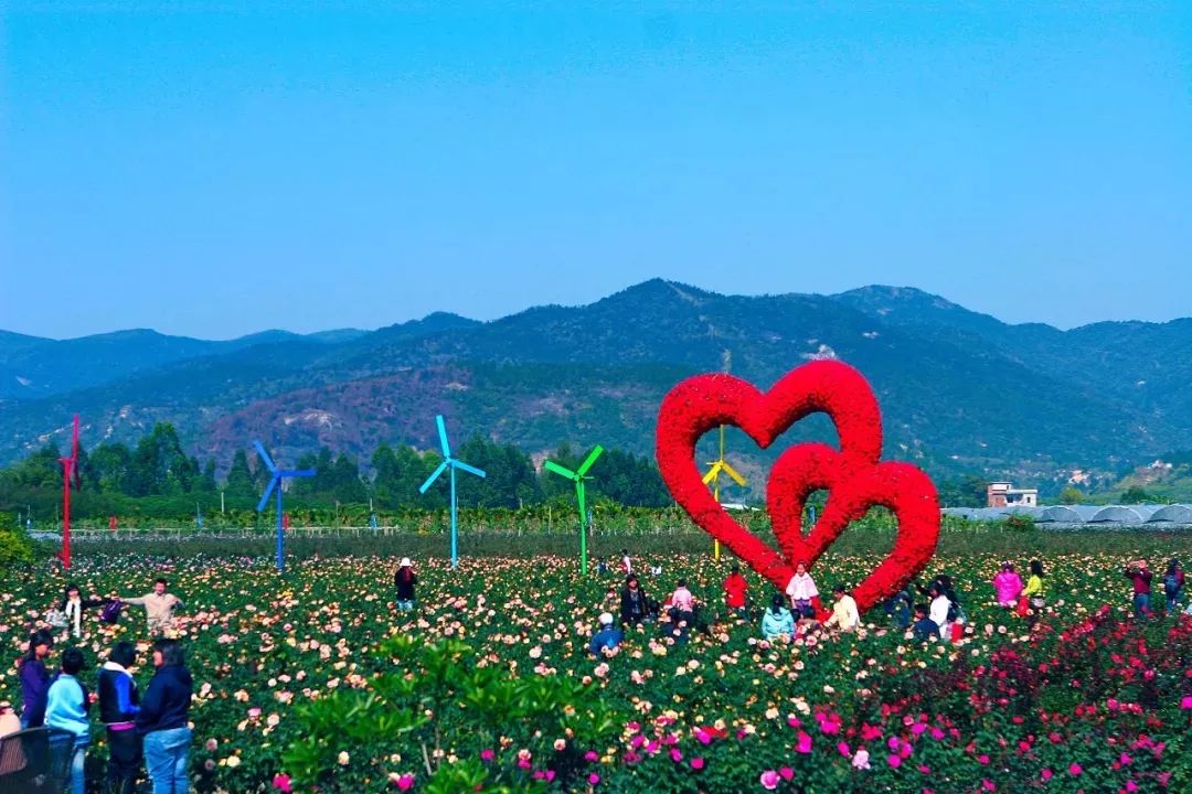 春运火车票1月12日可以买票吗,提醒今起开售春运首日火车票