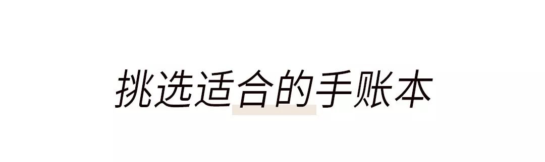 霓虹国排名,霓虹最好用的套装