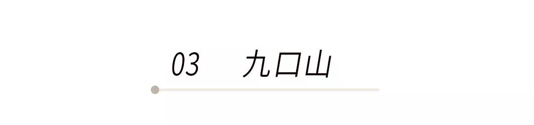 霓虹国排名,霓虹最好用的套装