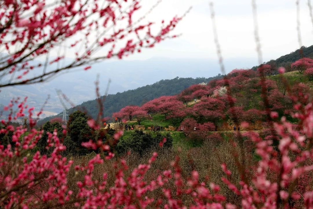 奉化旅游春节,五一奉化旅游攻略