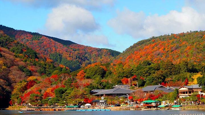 疫情下日本对待中国游客,疫情下旅游业的危机