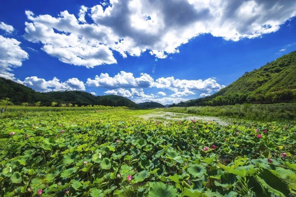 陕西延安黄土高原在哪看,延安在黄土高原上的位置