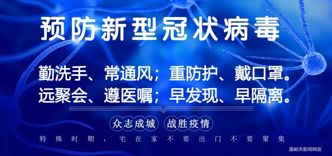 「双促双增·推动乡村全面振兴」养只“怪物鸡”鸡蛋变“金蛋”