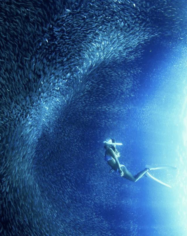 薄荷岛宿务攻略,宿务薄荷岛旅游怎么样