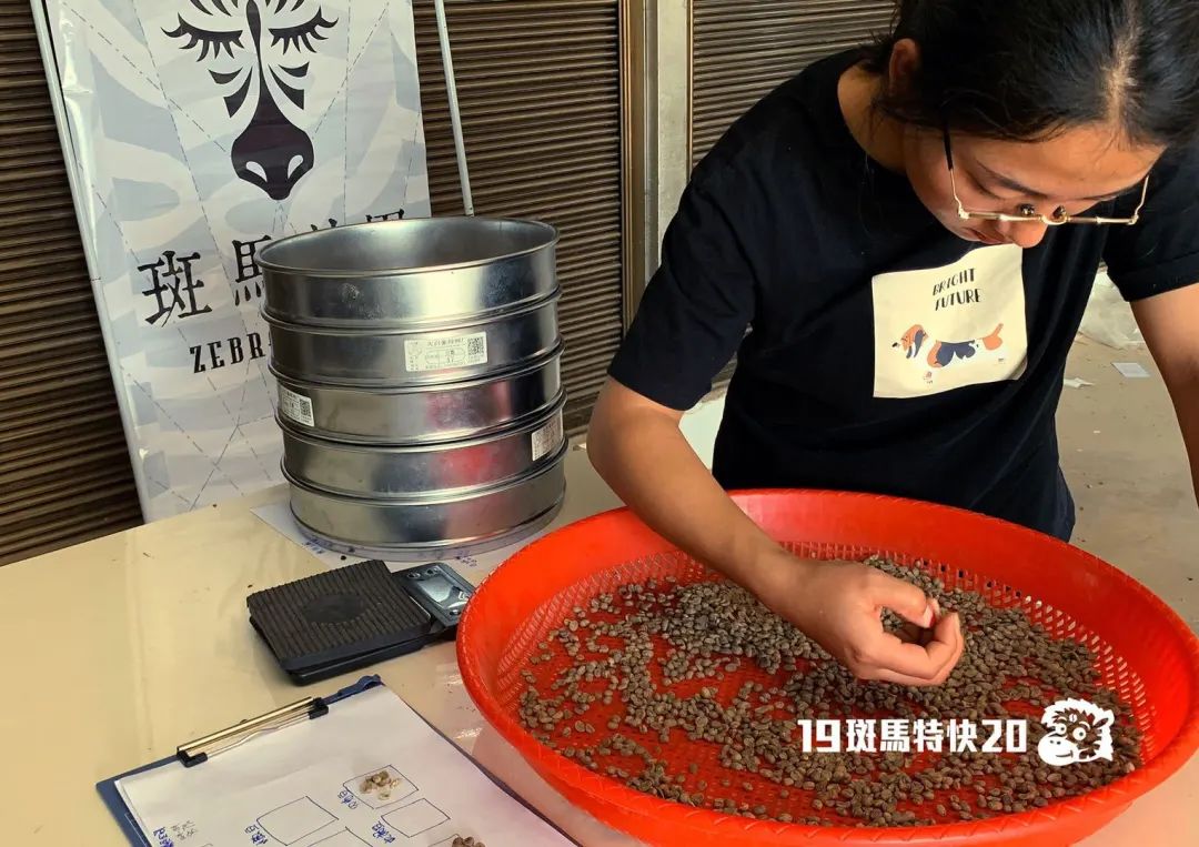 当我们说“这豆子不像云南”的时候，只是我们喝得太少？