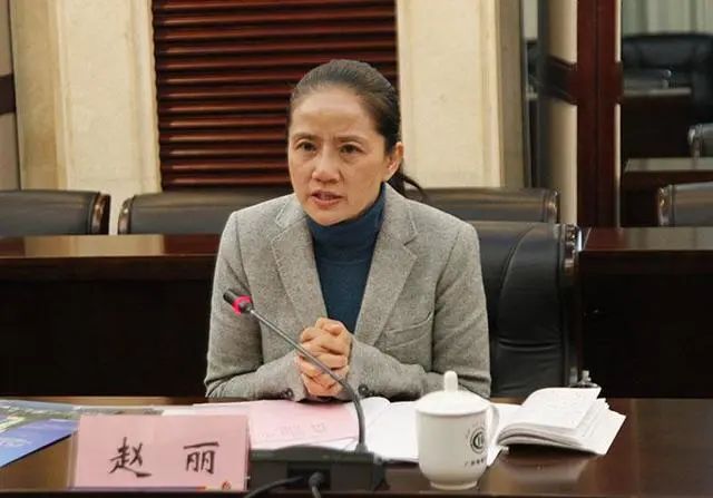 副厅级“最美女书记”落马