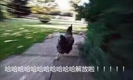儿童牙外伤的那些事儿,儿童牙外伤科普