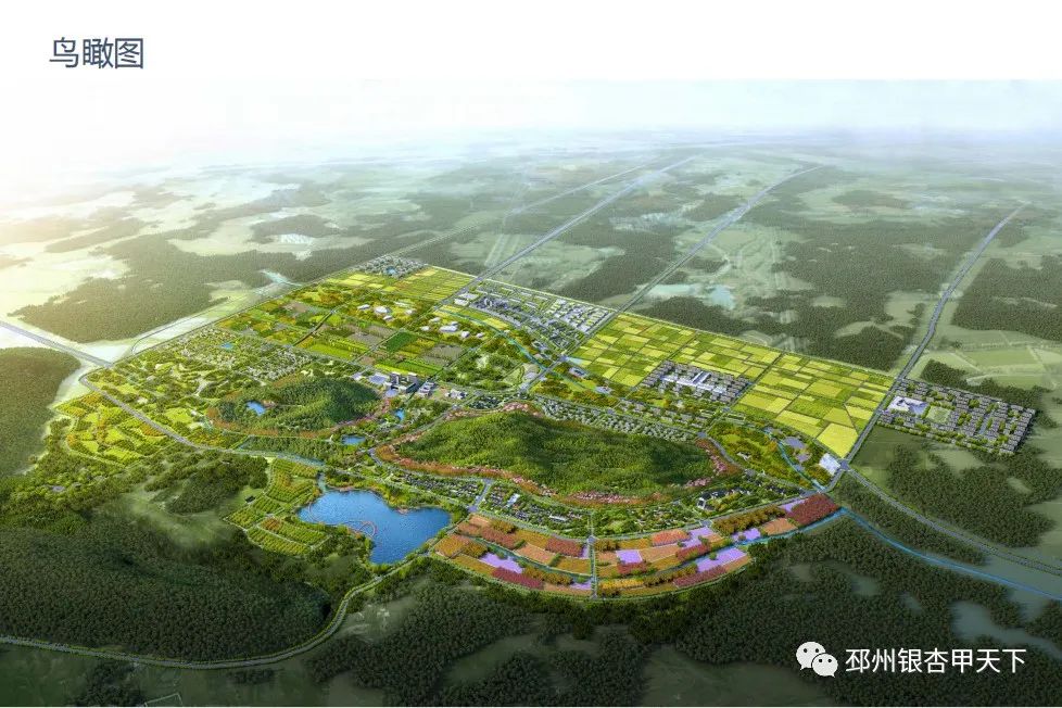 邳州国企招聘最新信息,江苏润城财富2021邳州招聘