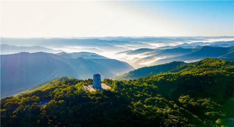 再造子午岭,再造一个子午岭有效吗