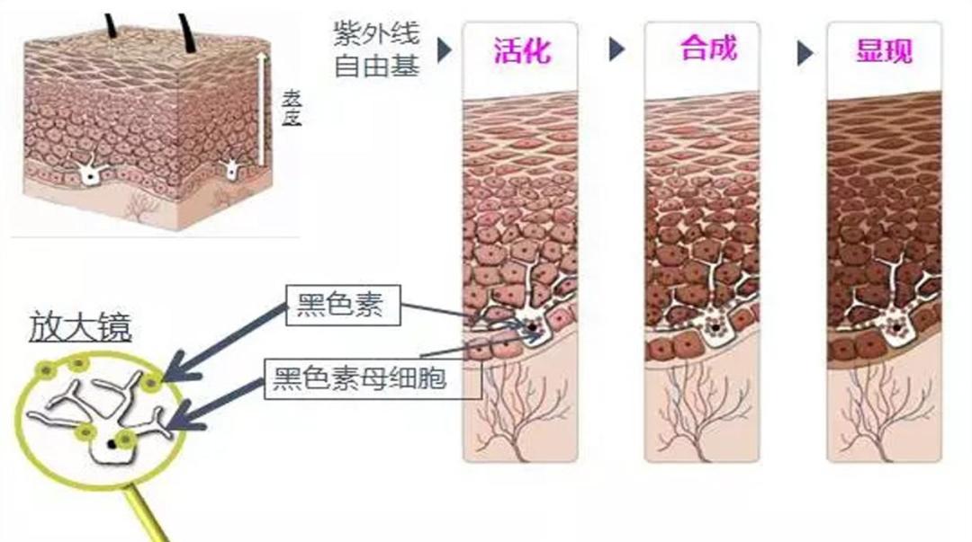 你的水乳套装上榜了吗,你的水乳需要换吗