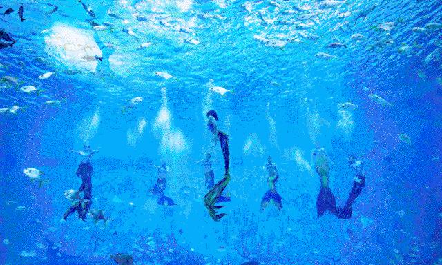 快收好！端午小长假期间，上海各大景点备下超丰富出游盛宴！你可能正需要这份贴心假期玩乐指南