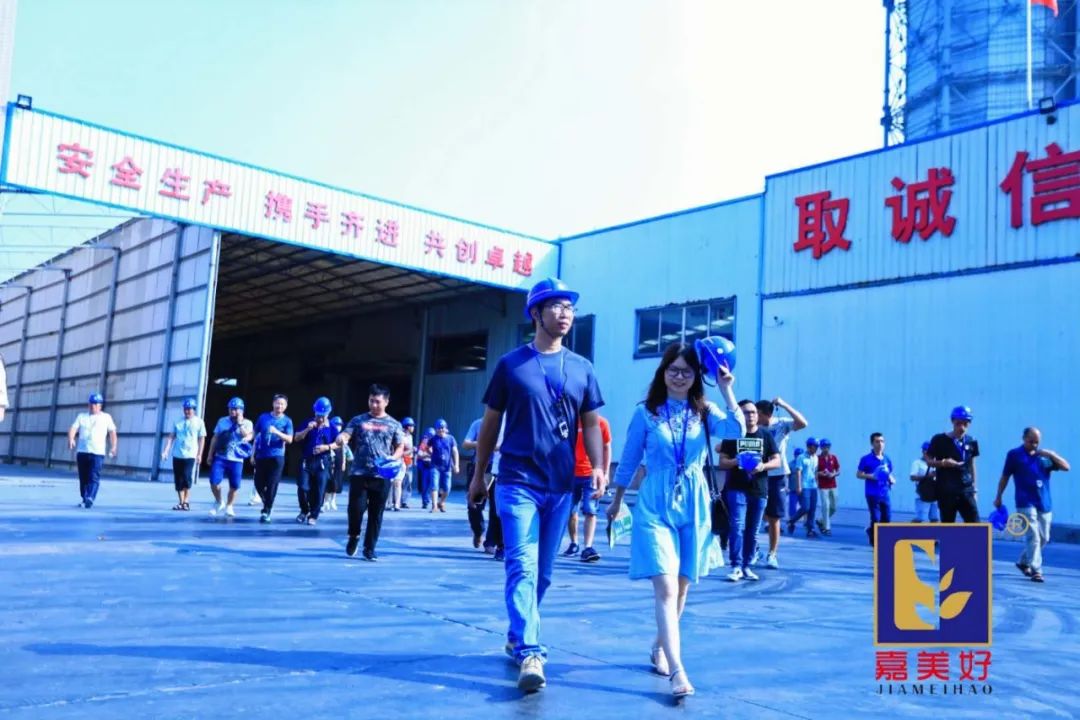 广东嘉美好进出口,广东嘉美好公司