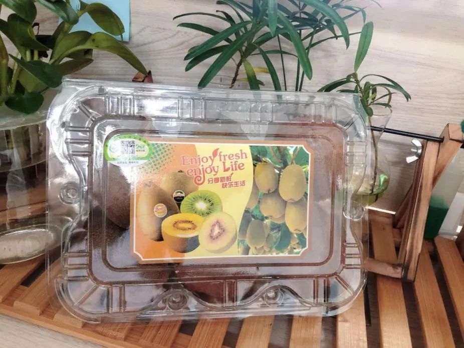 健康生活嘉年华,健康养生节活动
