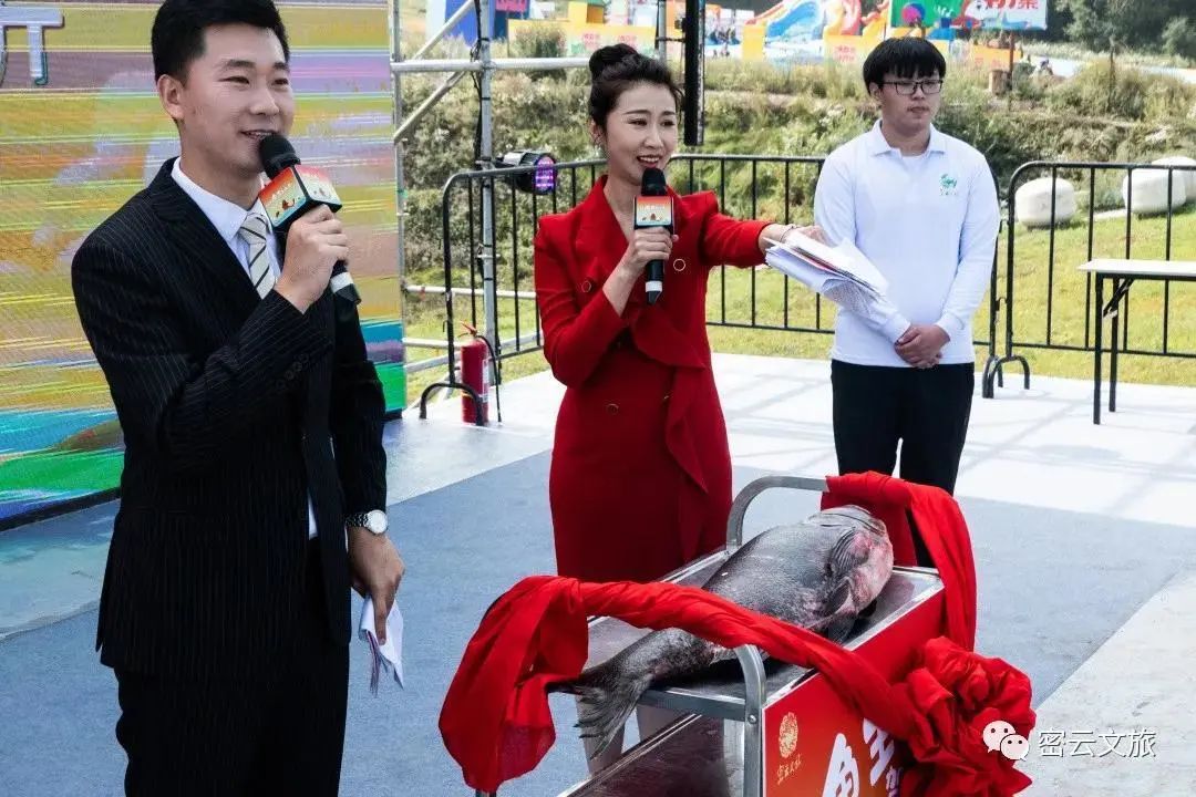 北京最好吃的鱼推荐,京郊哪里的鱼比较好吃