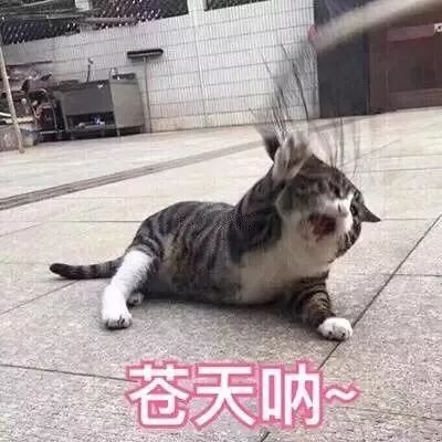 宜家在福州什么时候开工,福州宜家2021营业时间