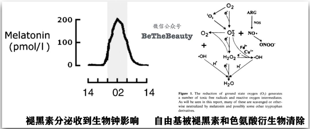 腿粗暗沉粗糙？为什么教程也救不了你的颜值bug？