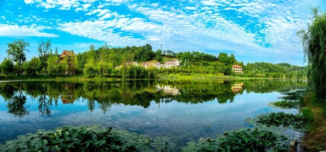 红花岗区：生态赋能乡村游旺了产业百姓甜