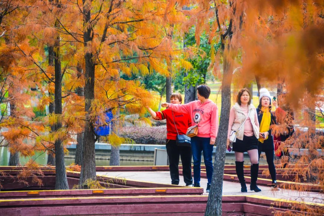 1月最美的佛山藏在这里！全部免费赏！