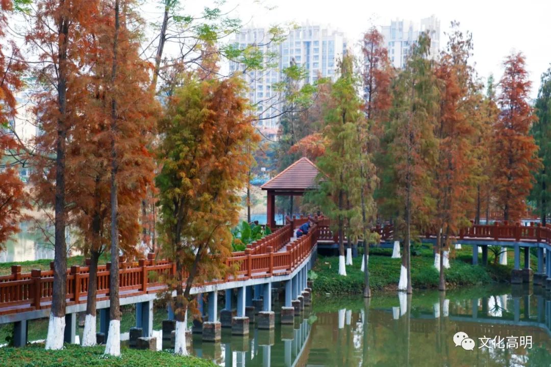 1月最美的佛山藏在这里！全部免费赏！