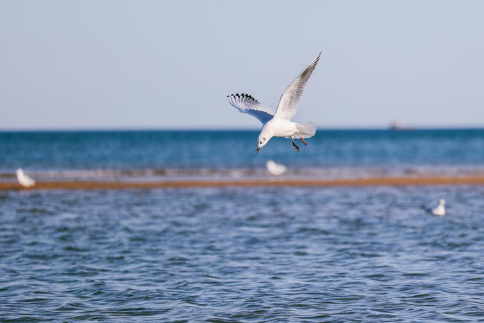 佳能efs18-200mm拍照,佳能微单70-200mm2.8镜头测评