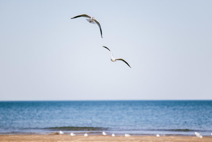 佳能efs18-200mm拍照,佳能微单70-200mm2.8镜头测评